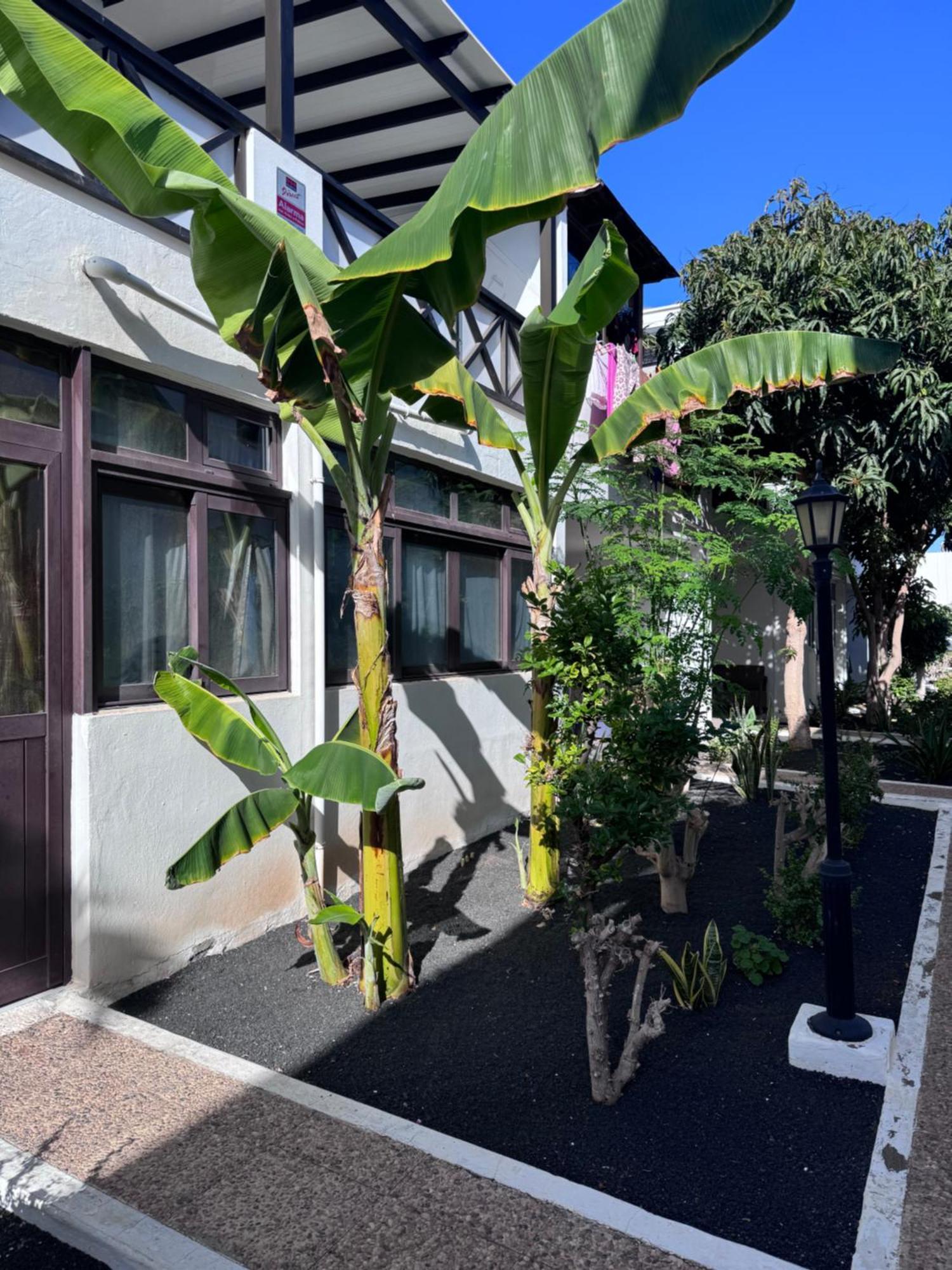ティアスCasa Ana Puerto Del Carmenアパートメント エクステリア 写真